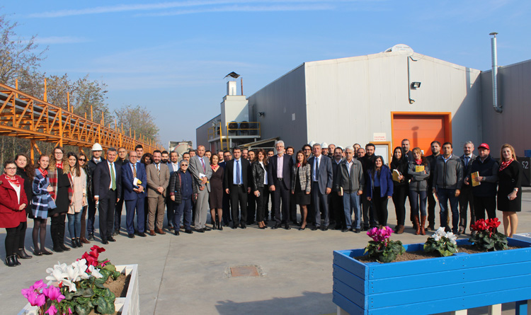 asas-haber-2